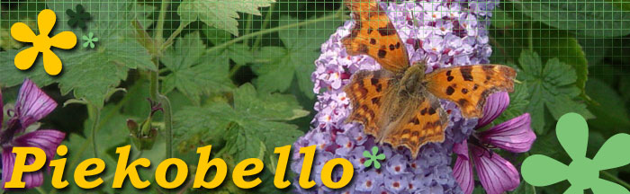 Piekobello