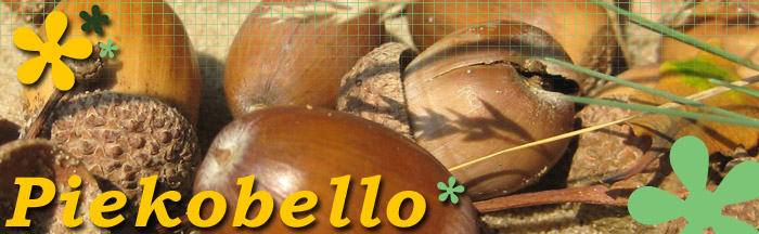 Piekobello