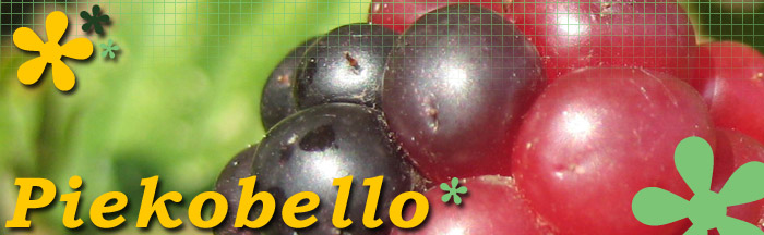 Piekobello