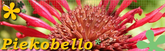 Piekobello